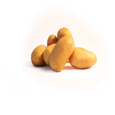 Pomme de Terre
